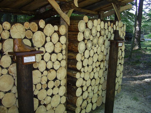Waldhusche in Hinterhermsdorf Sächsische Schweiz